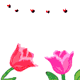 Gif animé amour